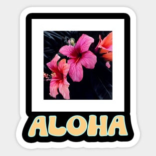 Aloha Vibes Sticker